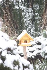 Der erste Schnee