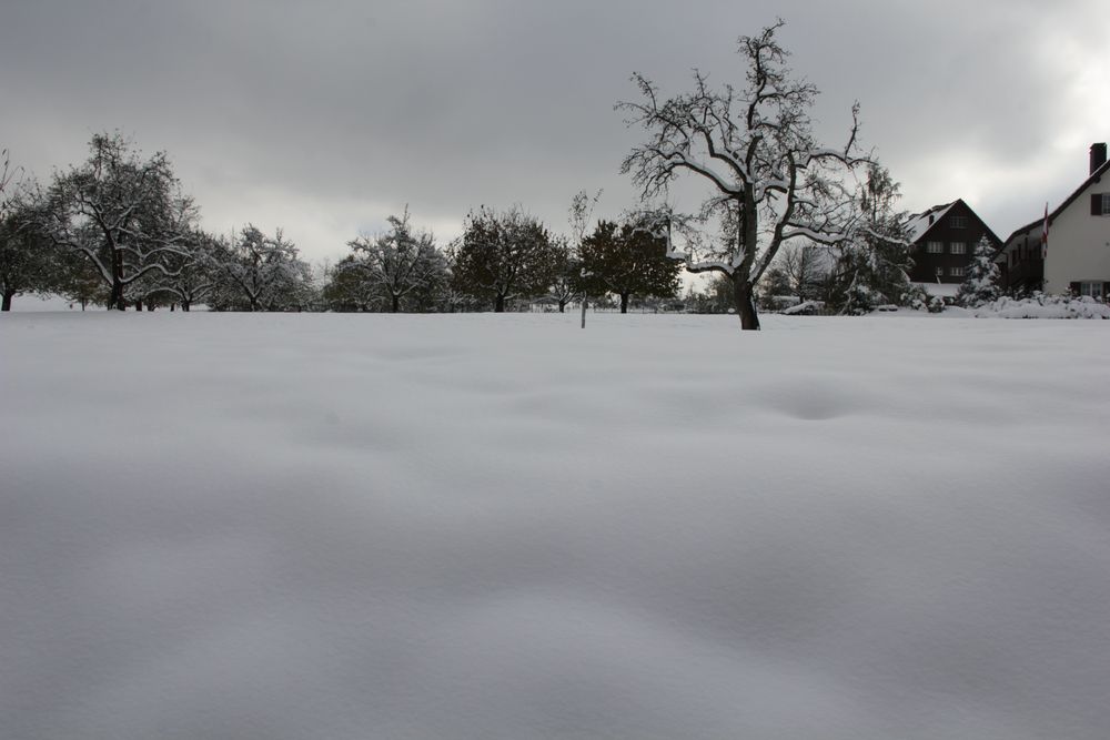 Der erste Schnee...