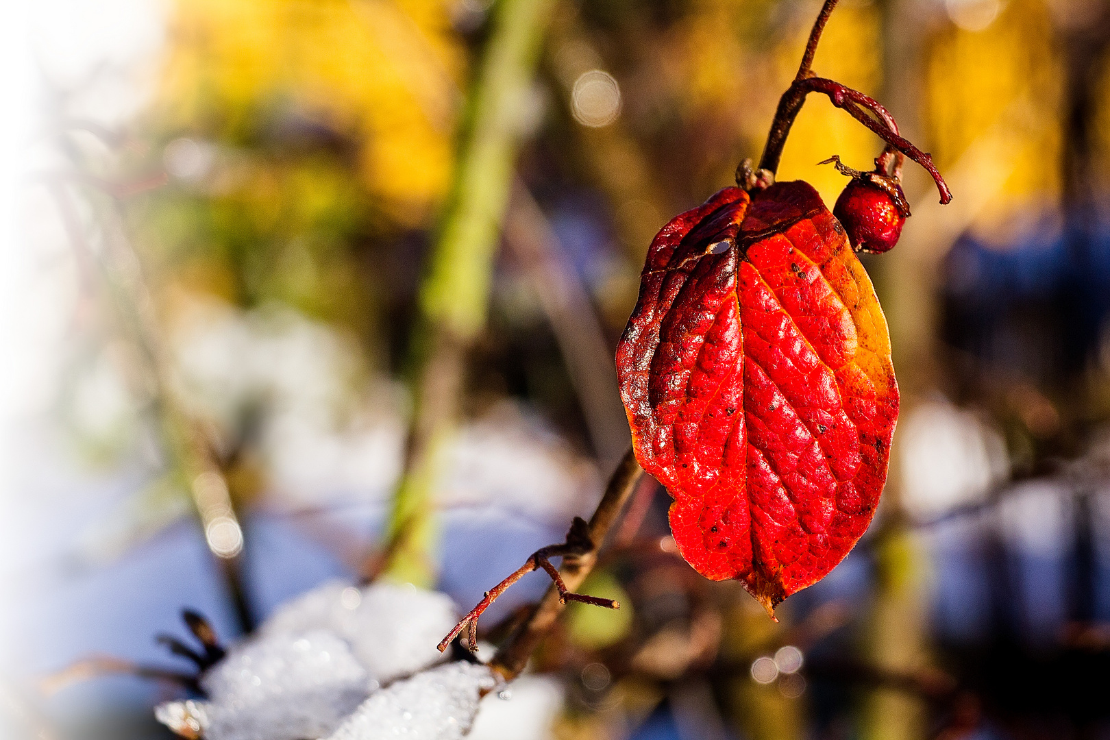 Der erste Schnee