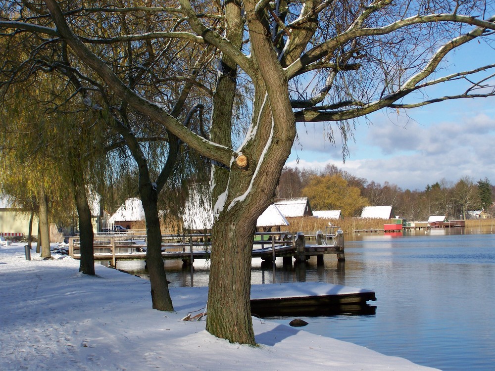 Der erste Schnee von Miriam Tute 