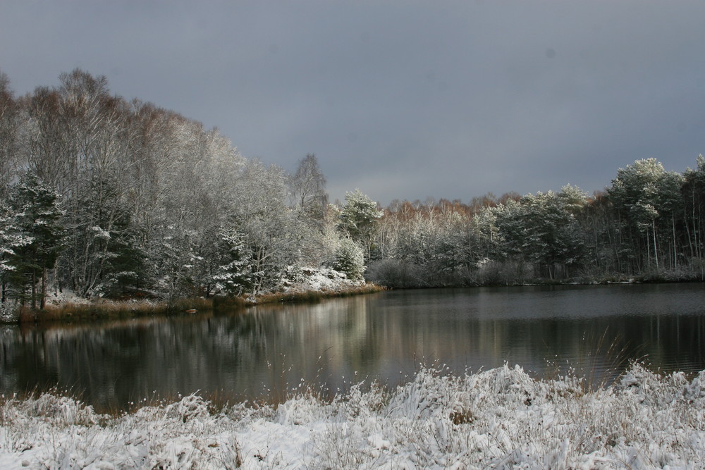 Der erste Schnee