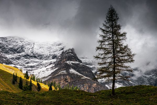 der erste schnee ...