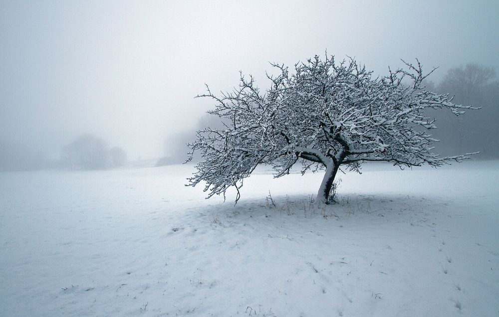 Der erste Schnee