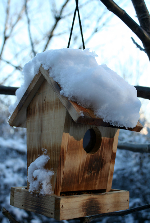 Der erste Schnee