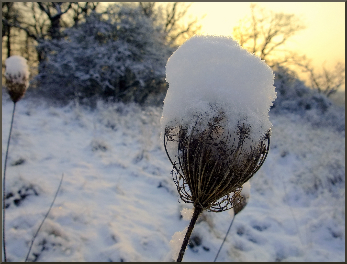 .. der erste Schnee