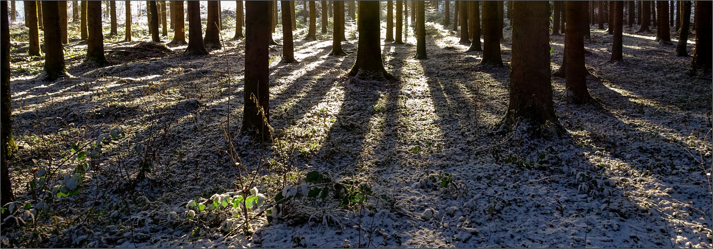 der erste Schnee