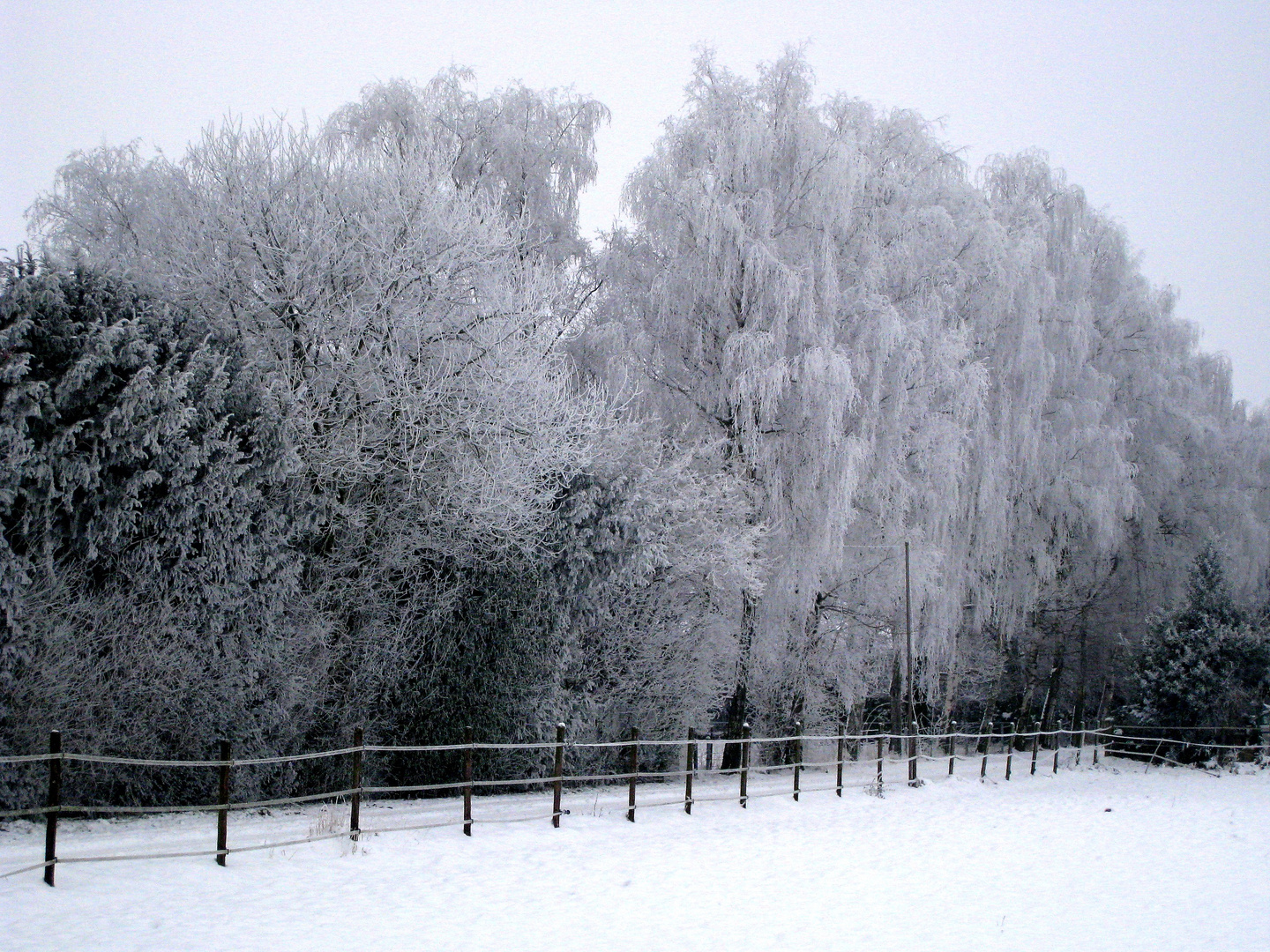 Der erste Schnee ...