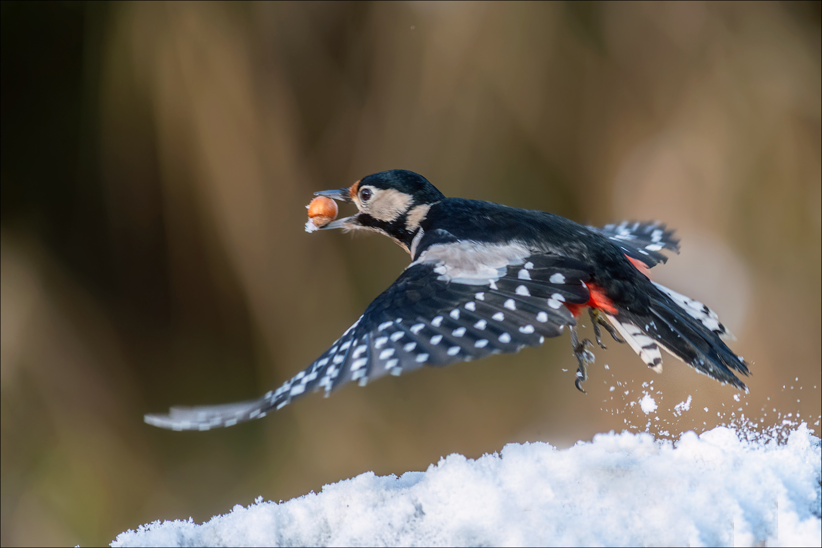 Der erste Schnee...