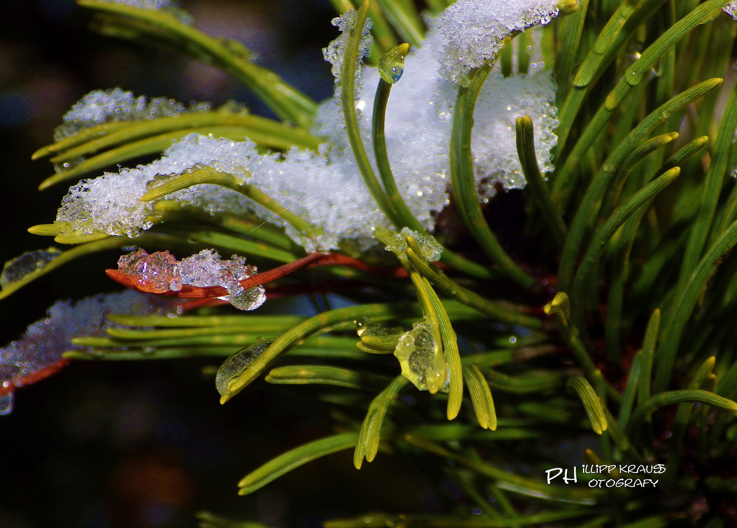 Der erste Schnee