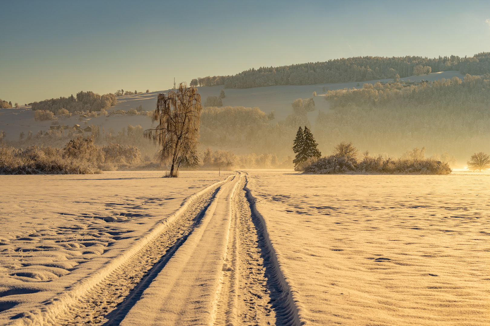 Der erste Schnee.