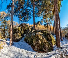 Der erste Schnee