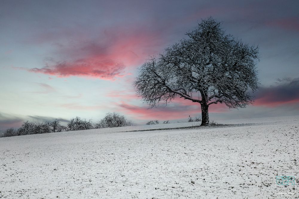 . . . der erste Schnee