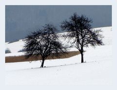 Der erste Schnee