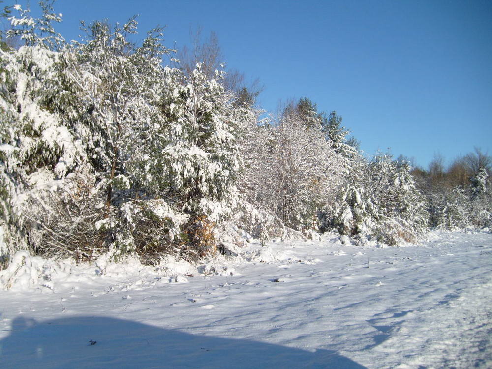 der erste schnee