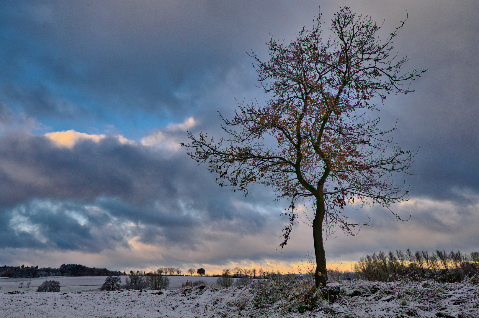 Der erste Schnee 