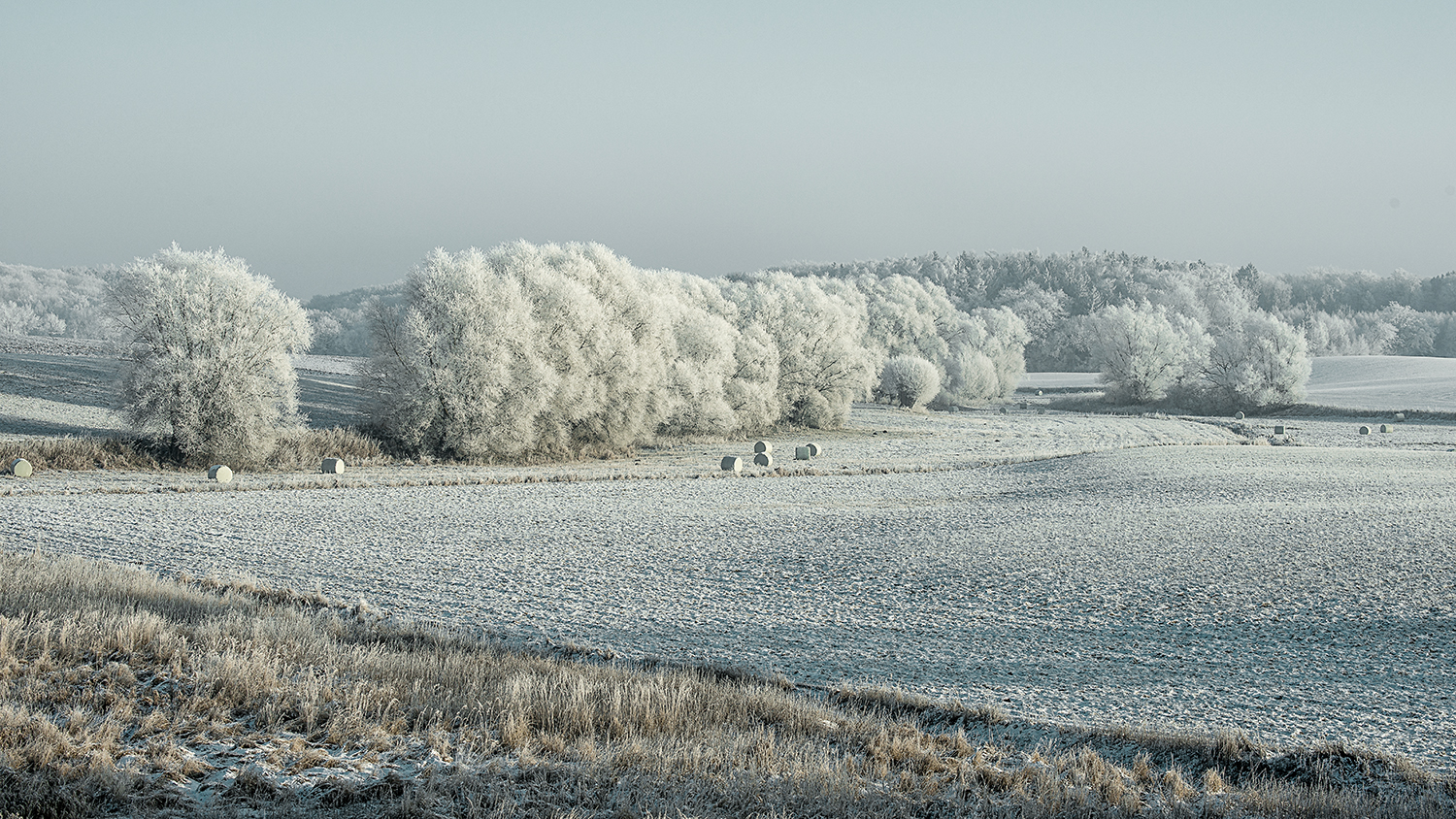 der erste Schnee