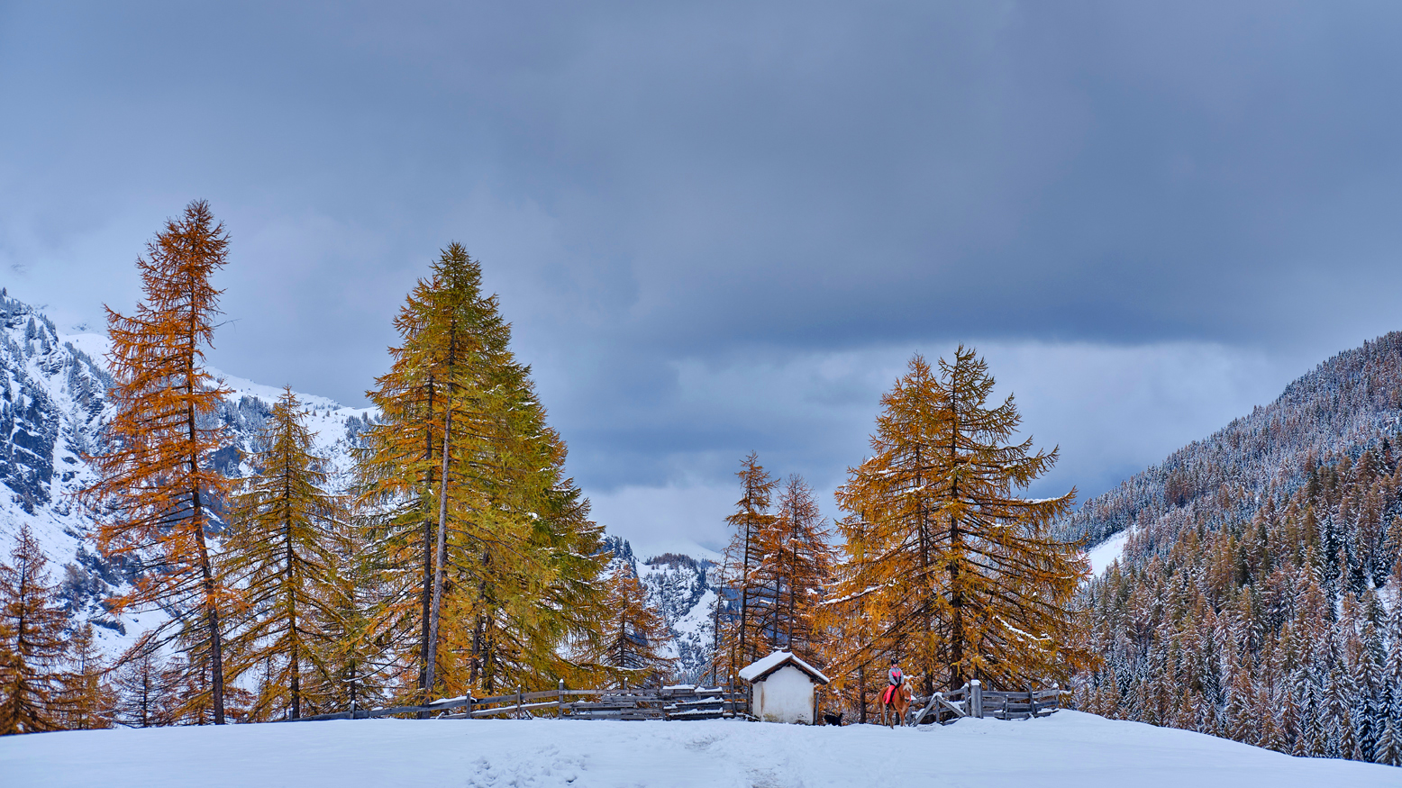 Der erste Schnee