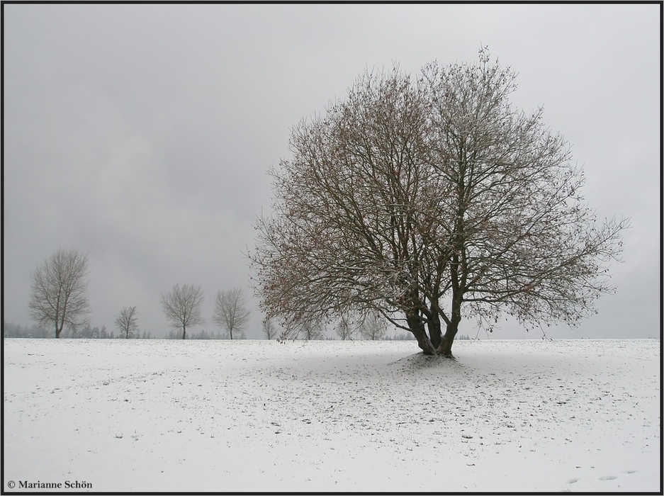 Der erste Schnee...