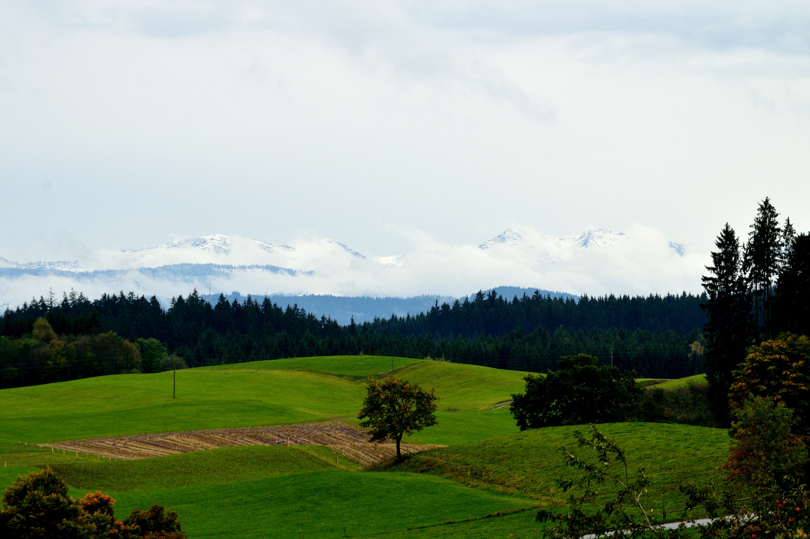 der erste Schnee