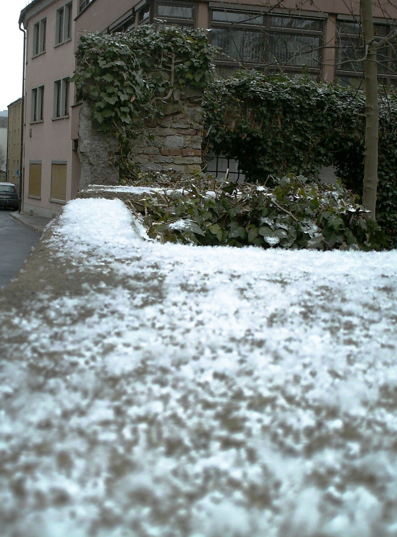 Der erste Schnee!