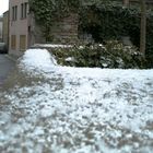 Der erste Schnee!