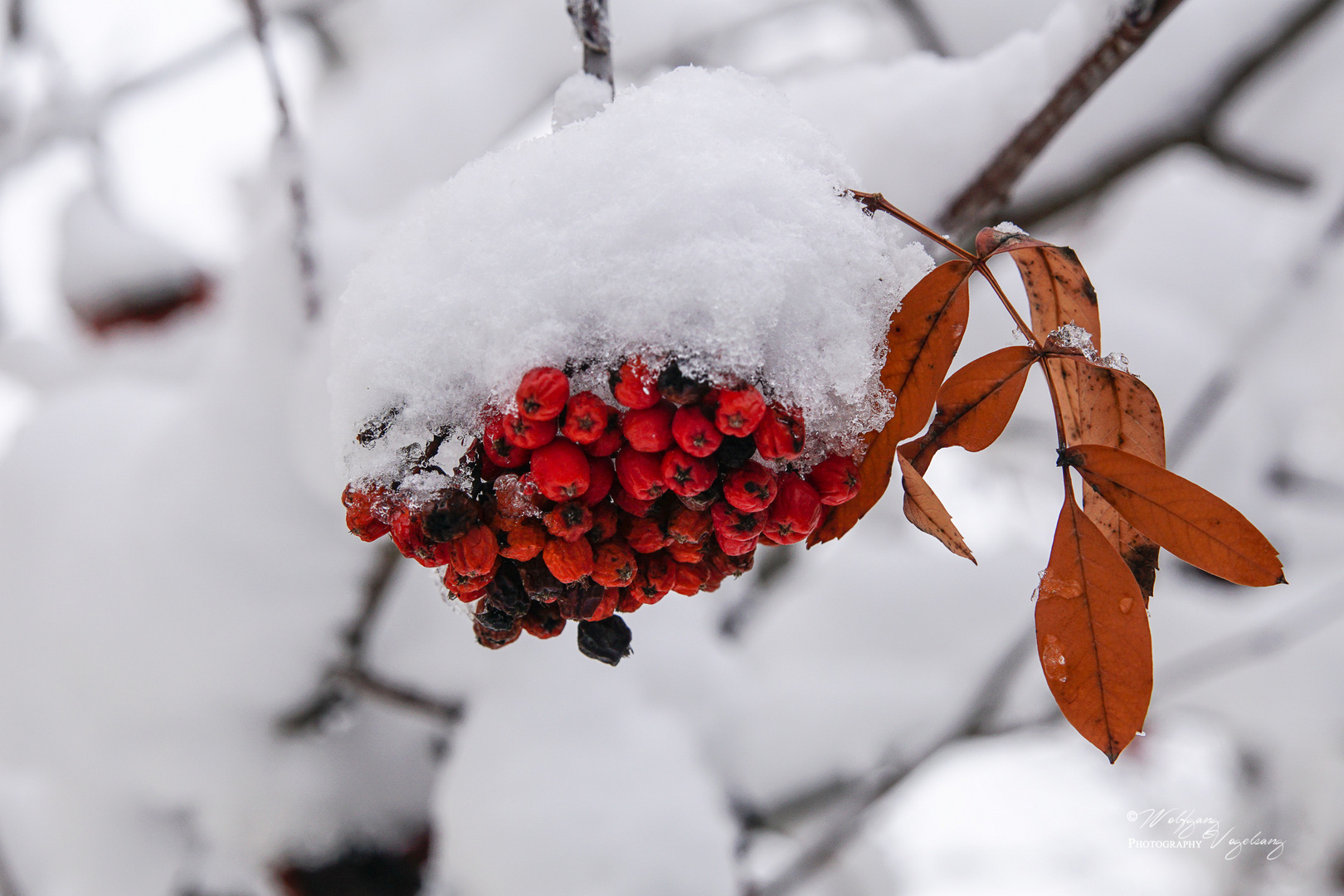 Der erste Schnee..