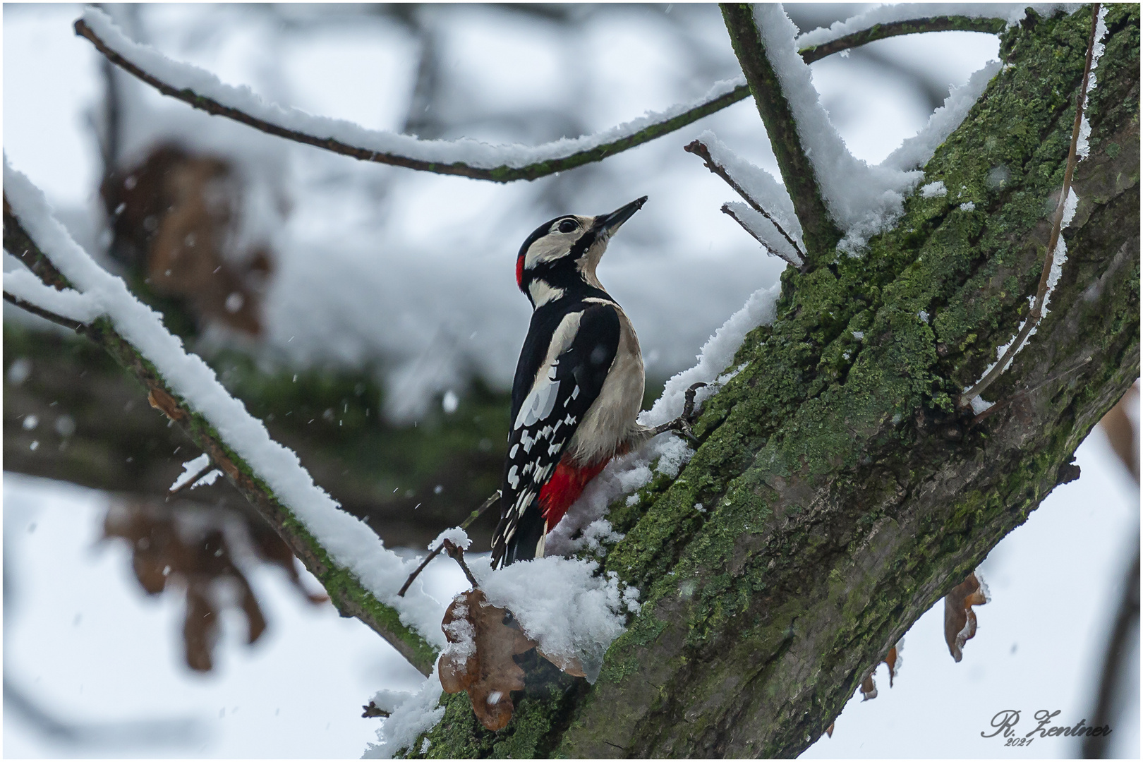 Der erste Schnee