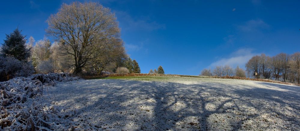 Der erste Schnee 