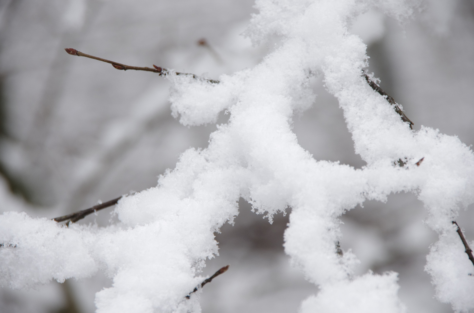 Der erste Schnee