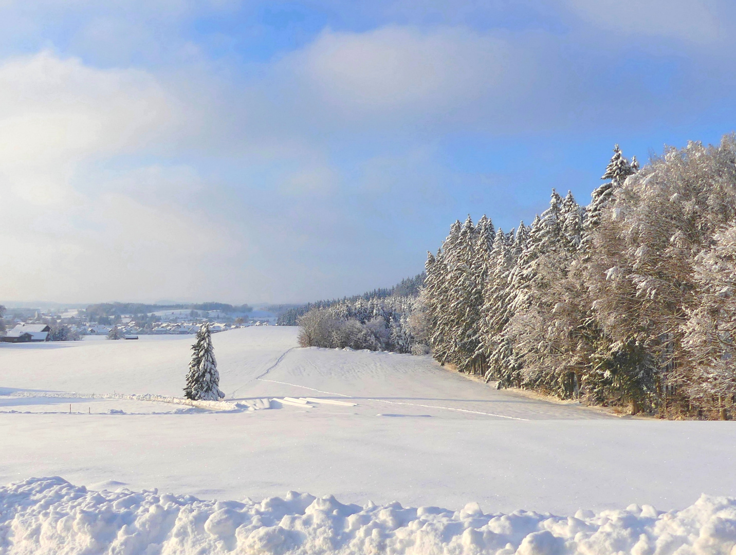 Der erste Schnee...