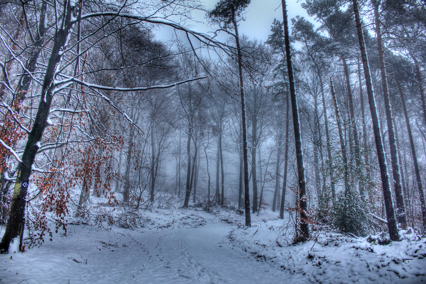 Der erste Schnee