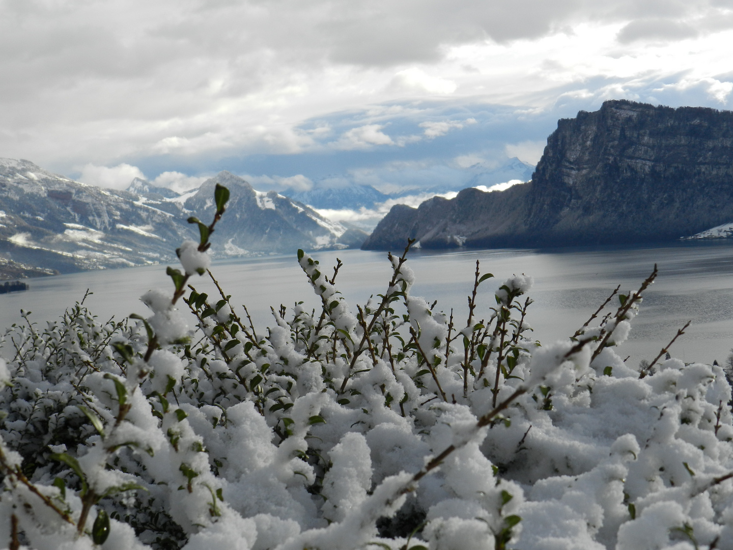 der erste Schnee