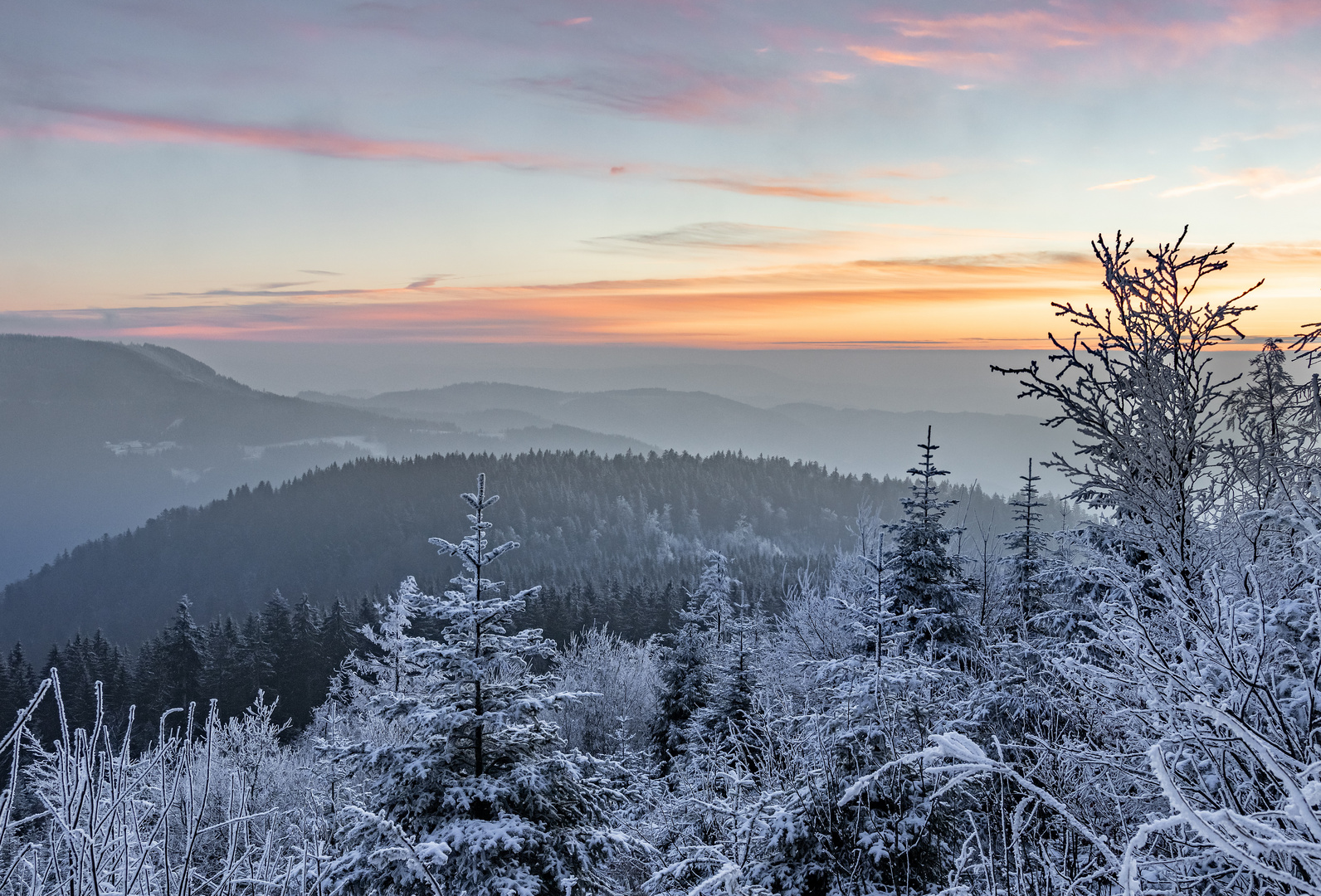 Der erste Schnee