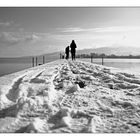 Der erste Schnee am Bodensee