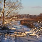 Der erste Schnee am Chiemseeufer