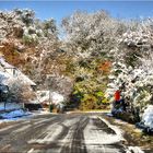 Der erste Schnee am Ende der Welt