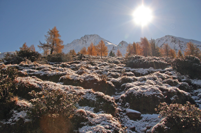 Der erste Schnee am Hirzer