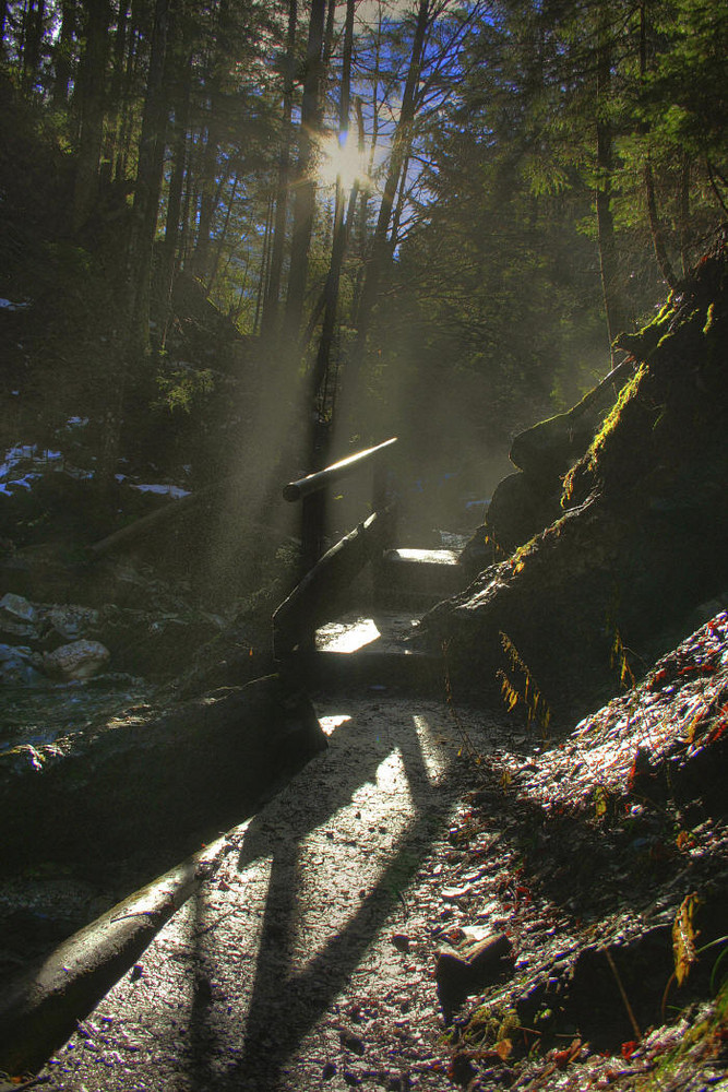 Der erste Schnee am Jenbach