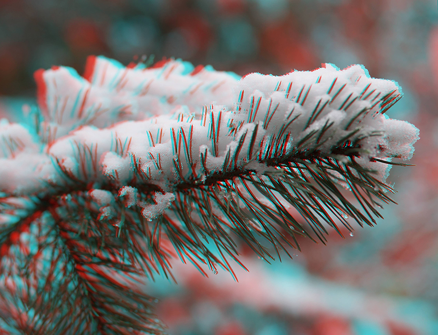 Der erste Schnee (Anaglyphe)