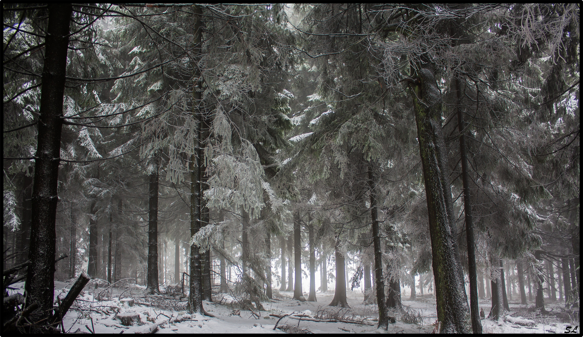 Der erste Schnee auf dem Feldberg....