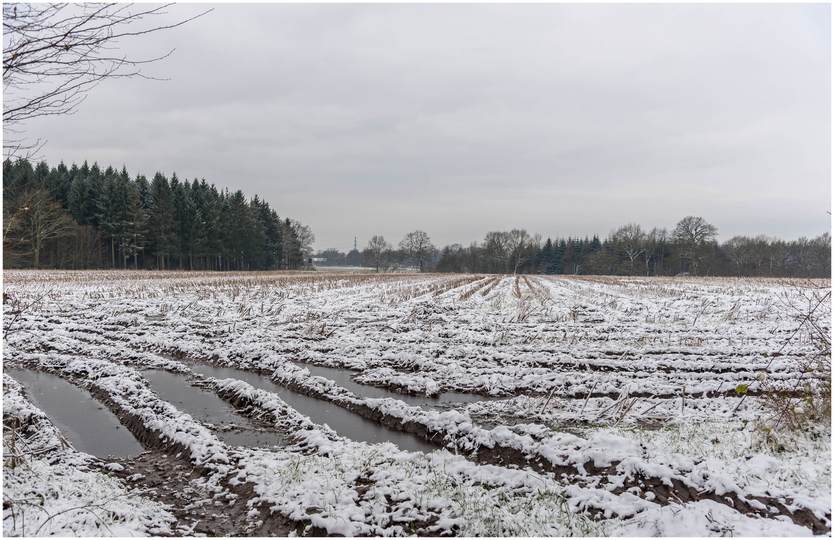 der erste Schnee auf dem Matsch