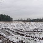 der erste Schnee auf dem Matsch