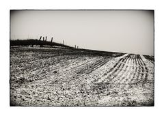 der erste Schnee auf den Feldern I