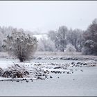 Der erste Schnee