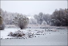 Der erste Schnee