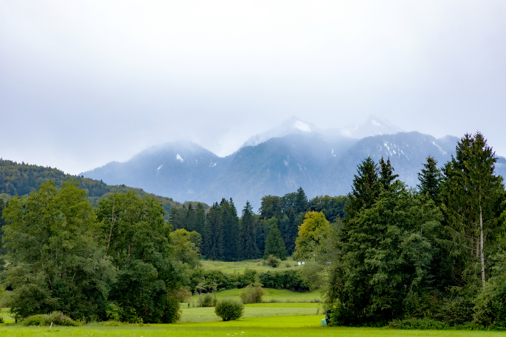 Der erste Schnee