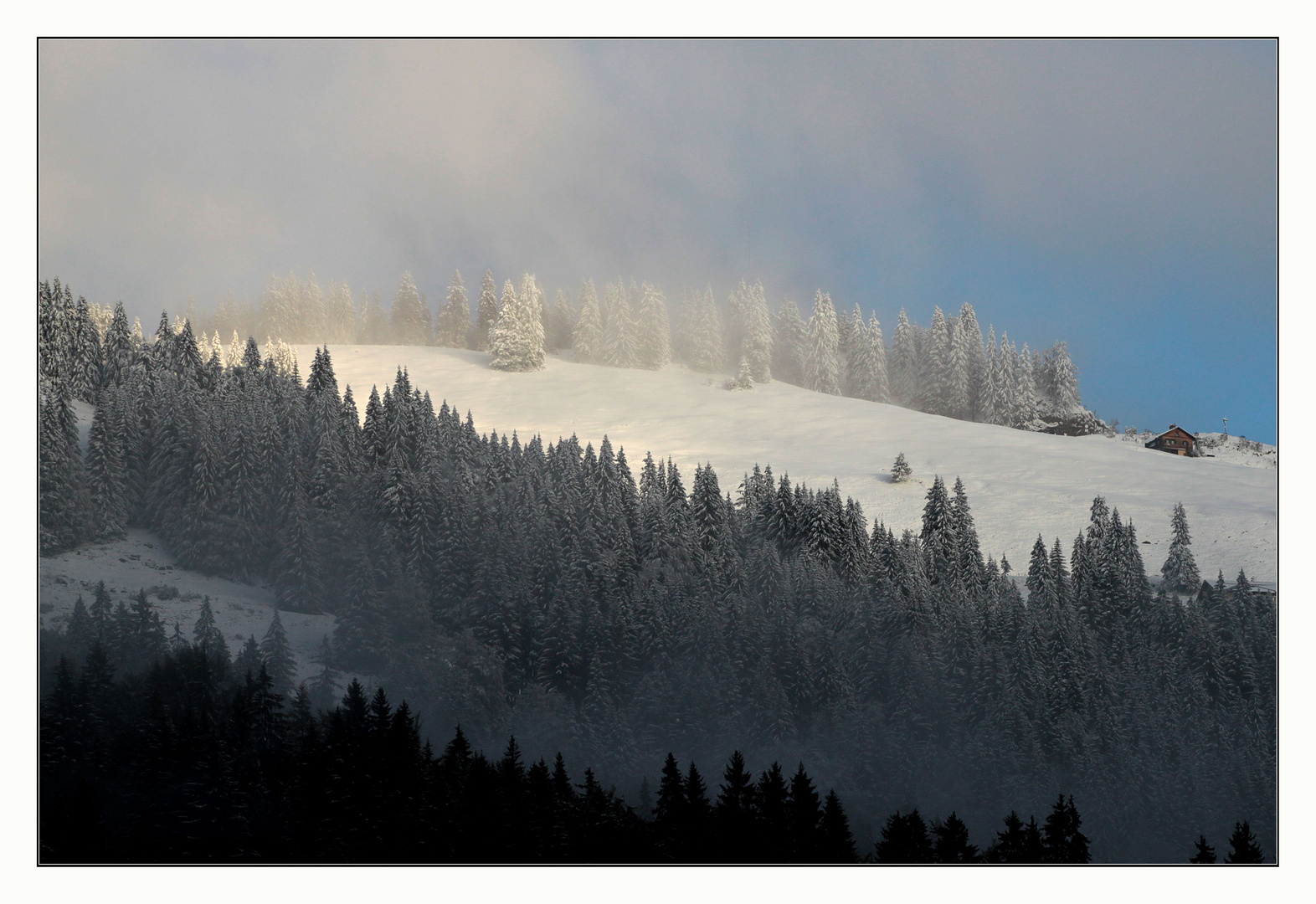 der erste Schnee