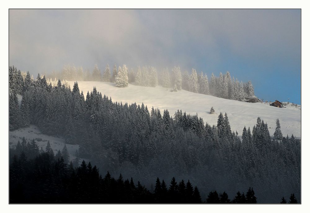 der erste Schnee