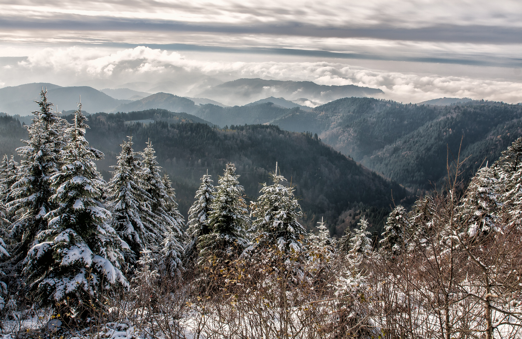 DER ERSTE SCHNEE.