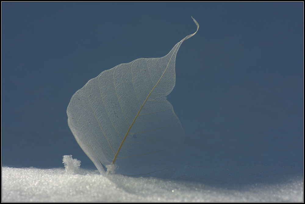 der erste schnee...